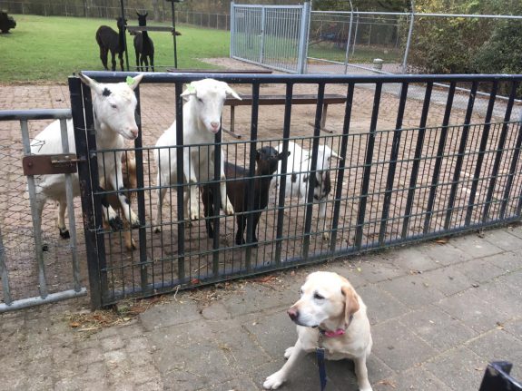 a885f53f-f6a8-4096-9958-493cca0122bf