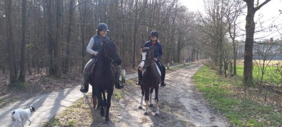 Fonds op naam voor dieren