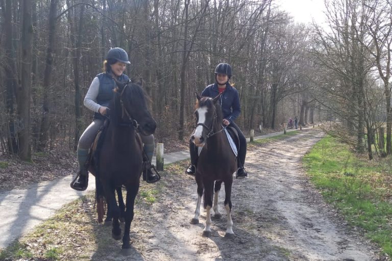 Fonds op naam voor dieren